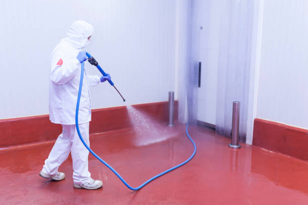 Best Gutter Cleaning and Brightening in Mckee City, NJ